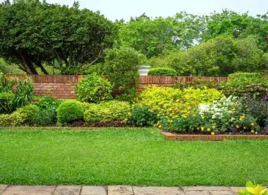 landscaping services Canton